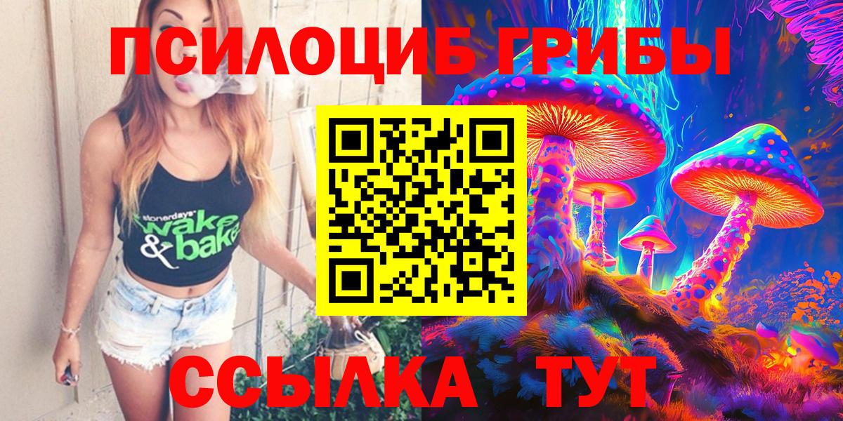 Псилоцибиновые грибы Psilocybe Нижневартовск