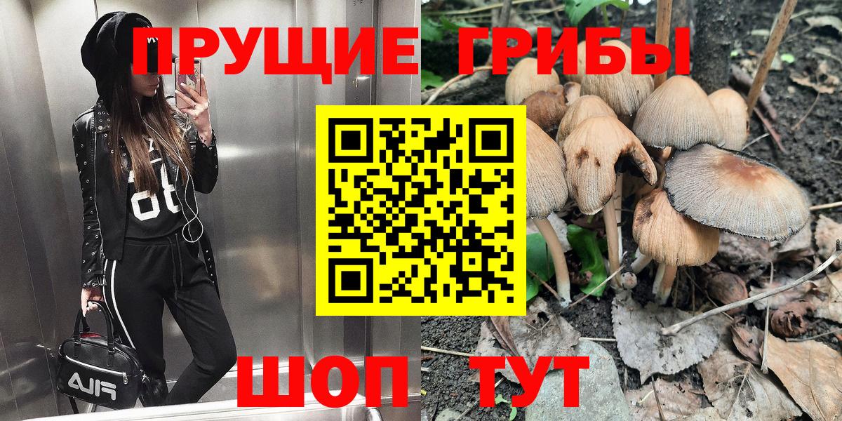 Псилоцибиновые грибы прущие грибы  Псилоцибиновые грибы GOLDEN TEACHER  Вход с VPN  Нижневартовск 